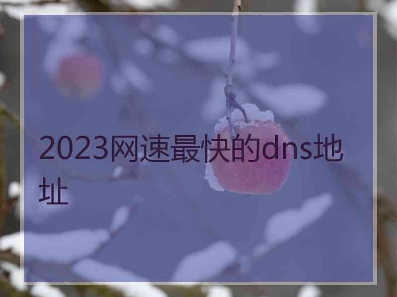 2023网速最快的dns地址