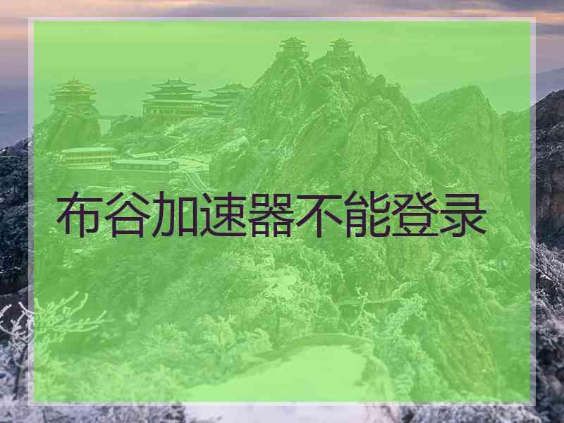 布谷加速器不能登录