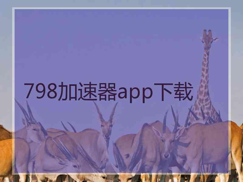 798加速器app下载