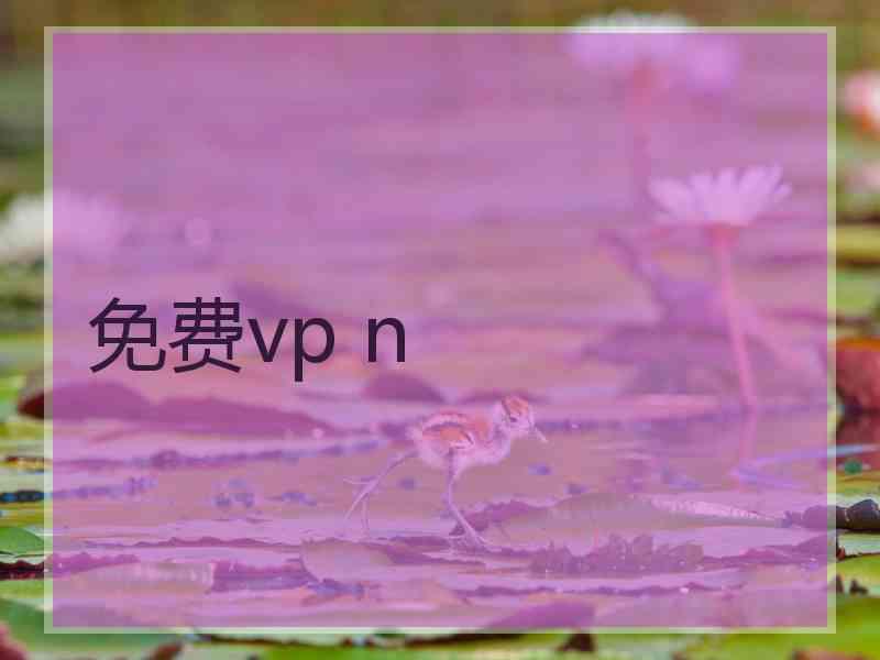免费vp n