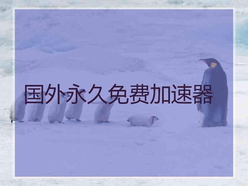 国外永久免费加速器