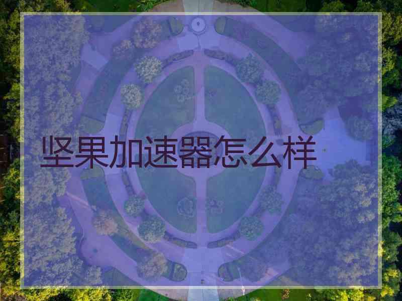 坚果加速器怎么样