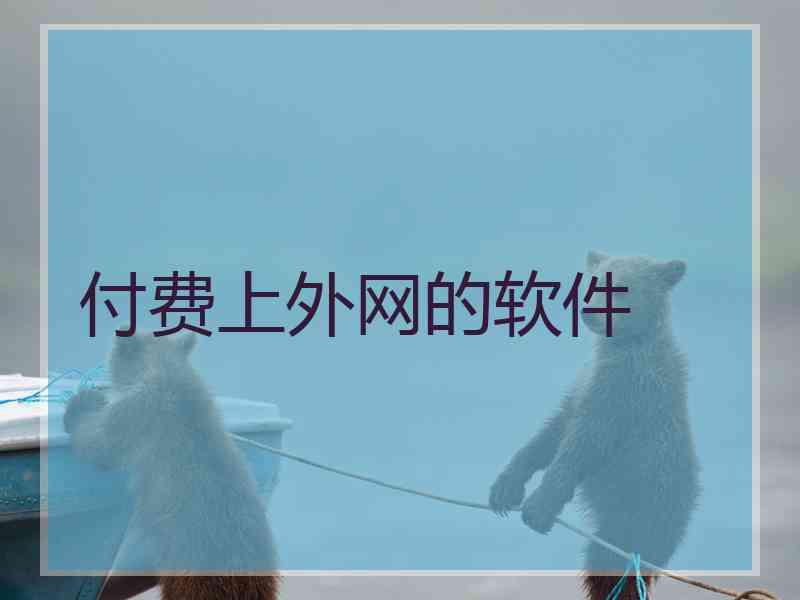 付费上外网的软件