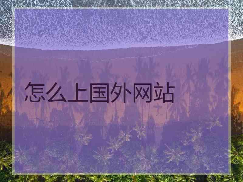 怎么上国外网站