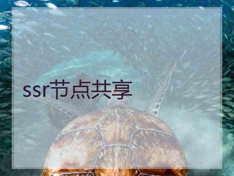 ssr节点共享