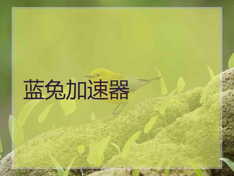 蓝兔加速器
