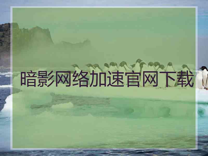 暗影网络加速官网下载