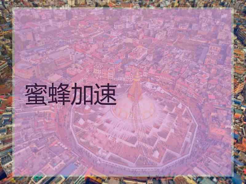 蜜蜂加速