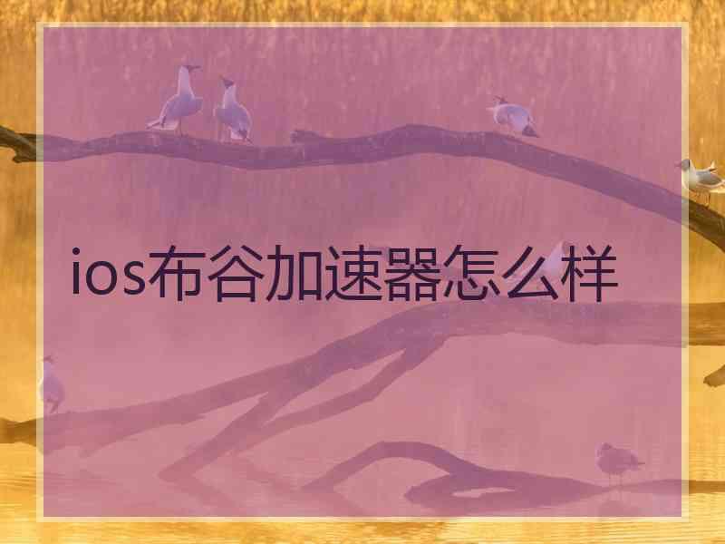 ios布谷加速器怎么样