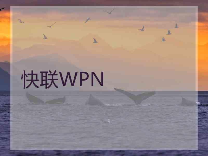 快联WPN