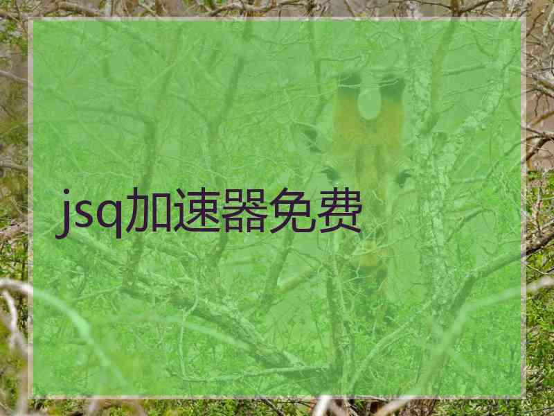 jsq加速器免费