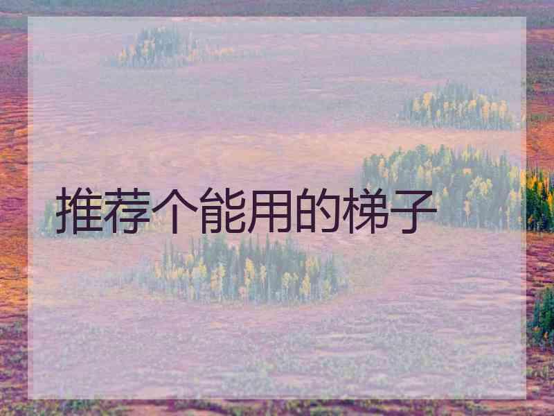 推荐个能用的梯子