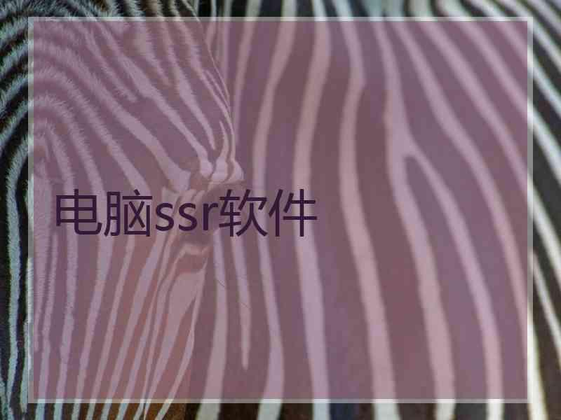 电脑ssr软件