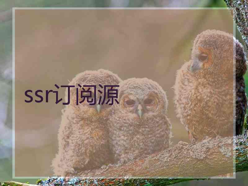 ssr订阅源