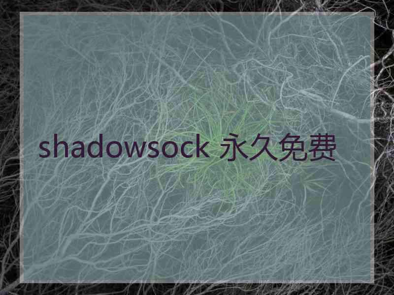 shadowsock 永久免费