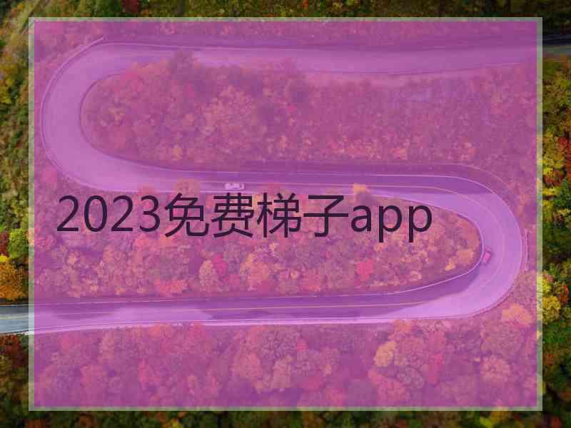 2023免费梯子app