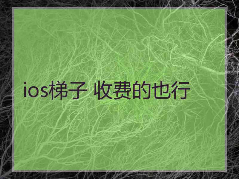 ios梯子 收费的也行