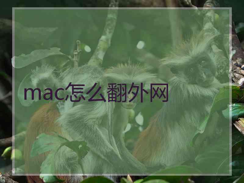 mac怎么翻外网