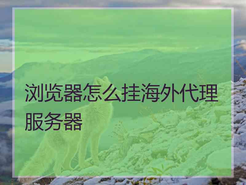 浏览器怎么挂海外代理服务器