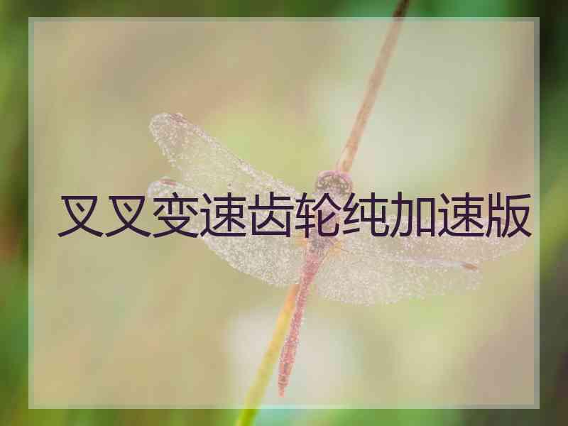 叉叉变速齿轮纯加速版