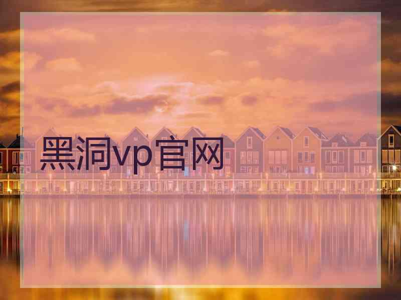黑洞vp官网