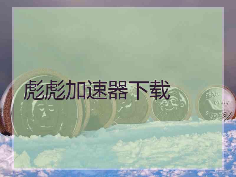 彪彪加速器下载