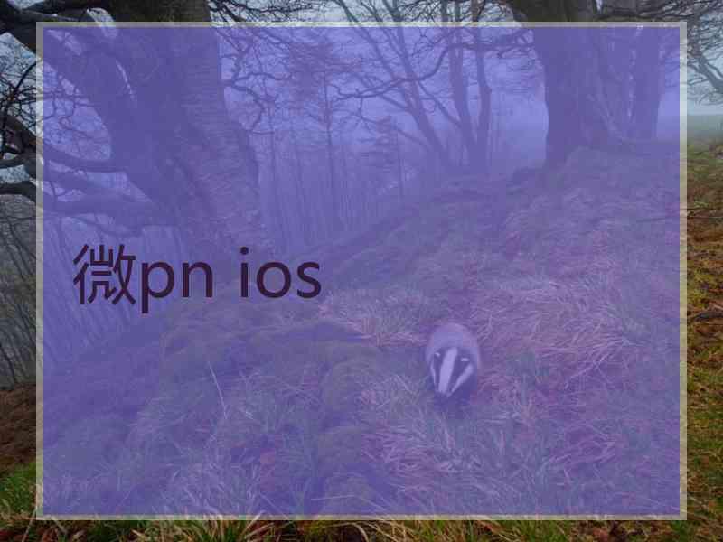 微pn ios