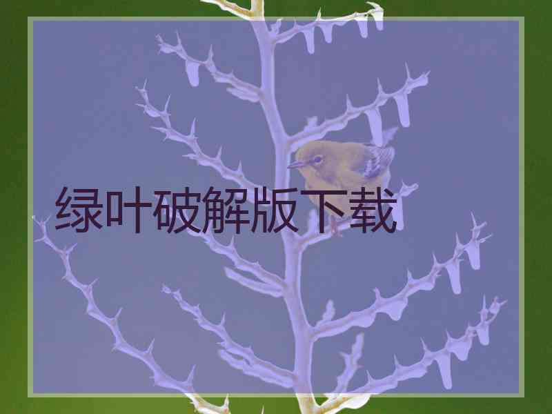 绿叶破解版下载