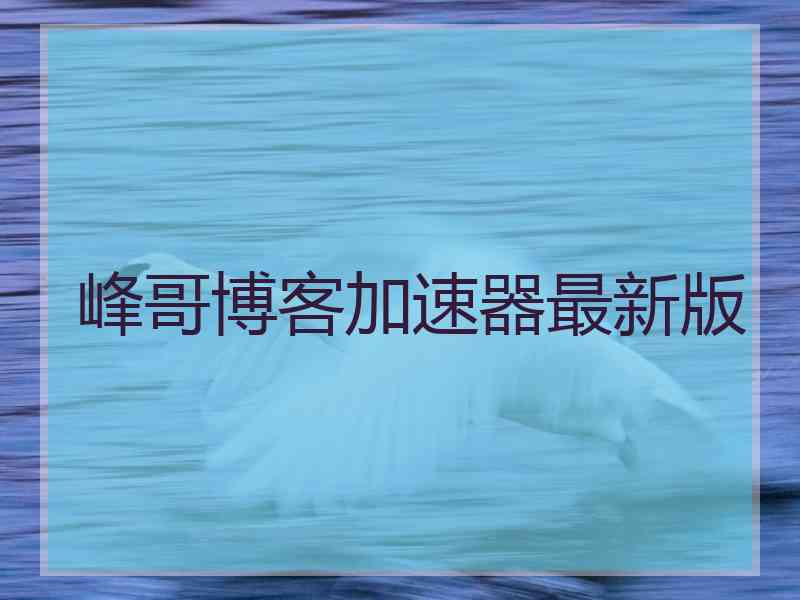 峰哥博客加速器最新版