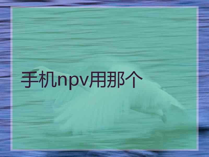 手机npv用那个