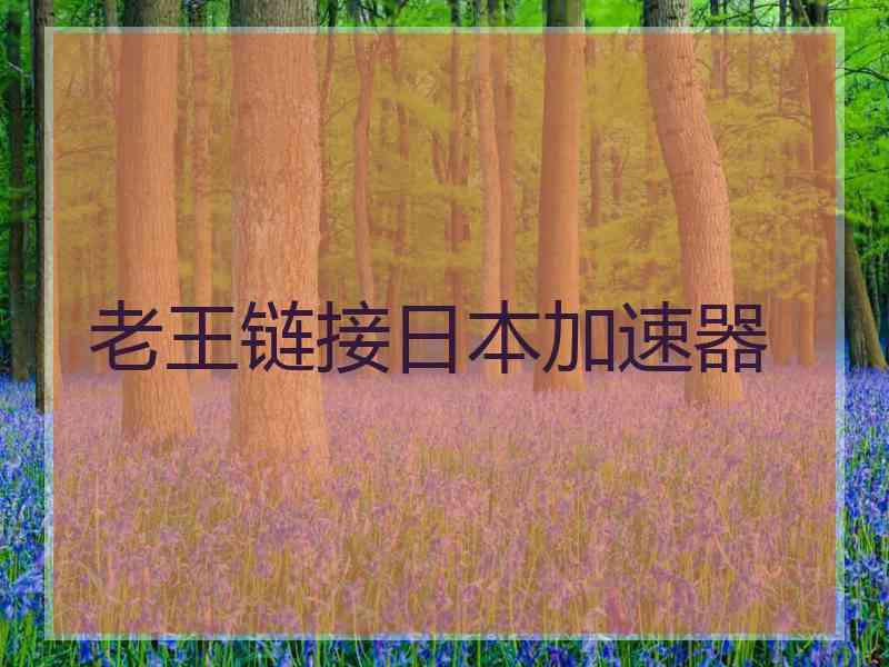 老王链接日本加速器