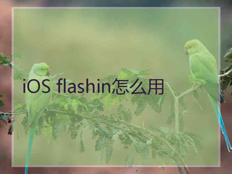 iOS flashin怎么用