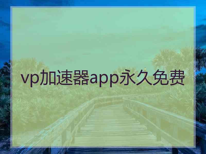 vp加速器app永久免费