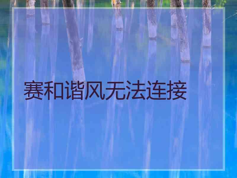 赛和谐风无法连接