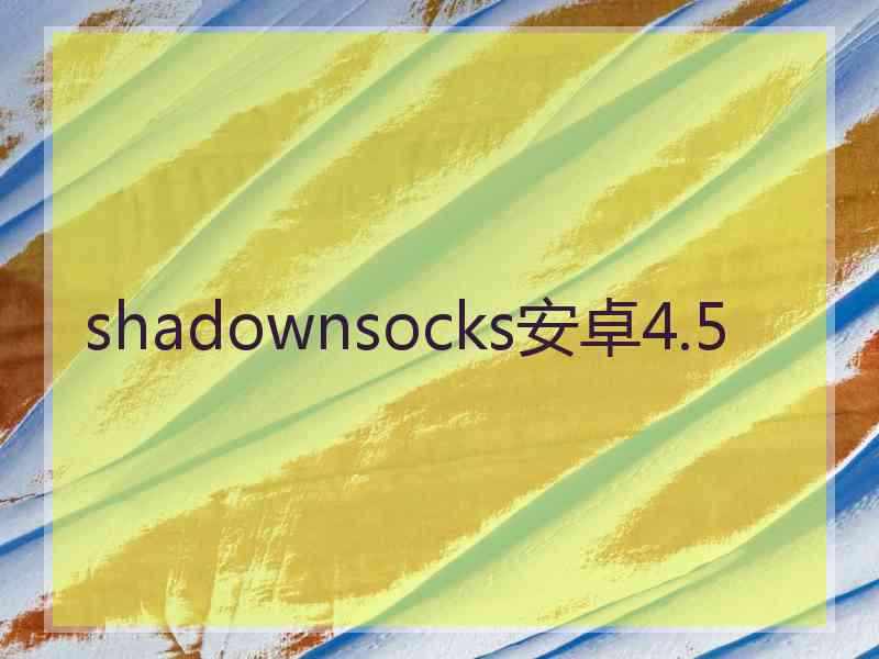 shadownsocks安卓4.5