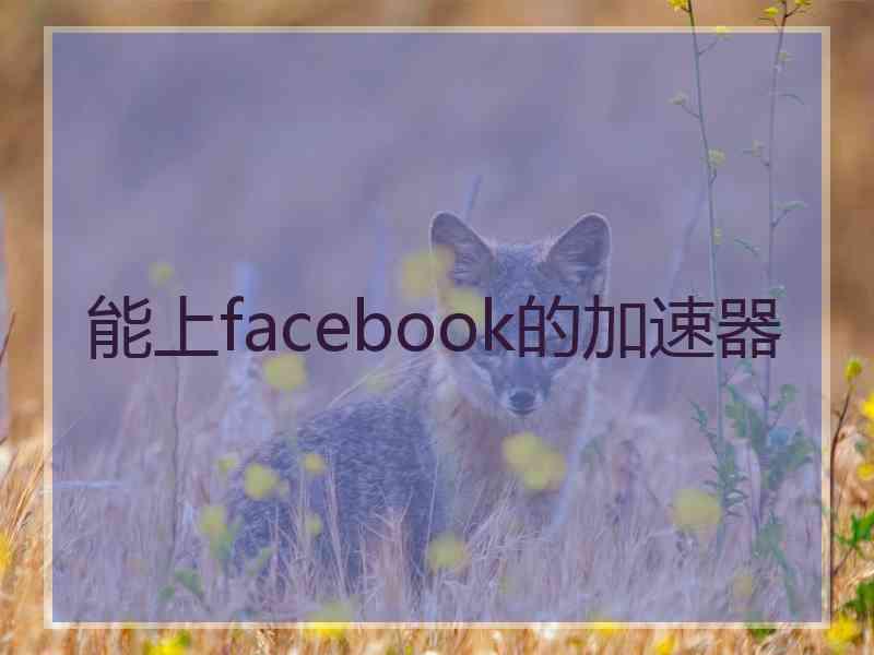 能上facebook的加速器