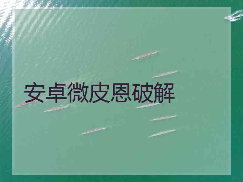 安卓微皮恩破解
