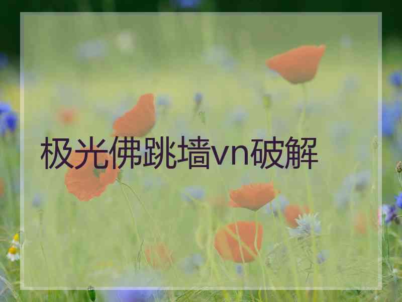 极光佛跳墙vn破解