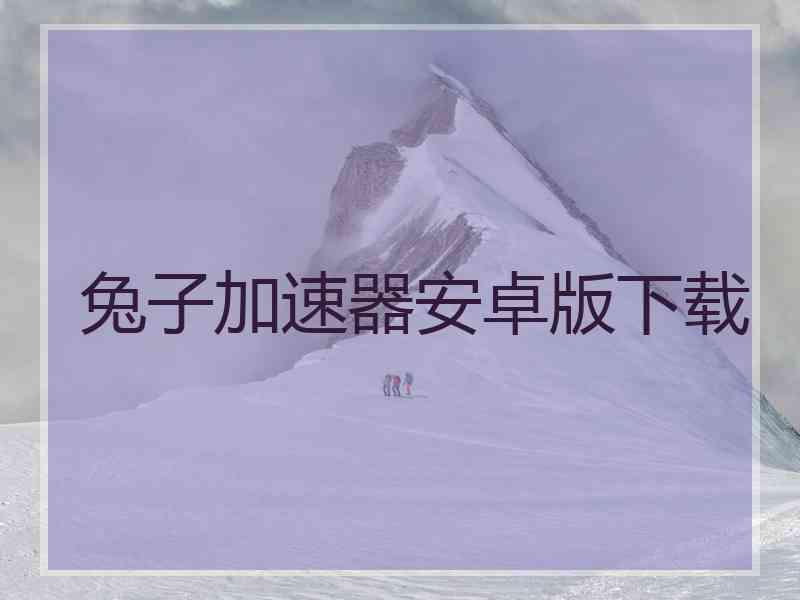 兔子加速器安卓版下载
