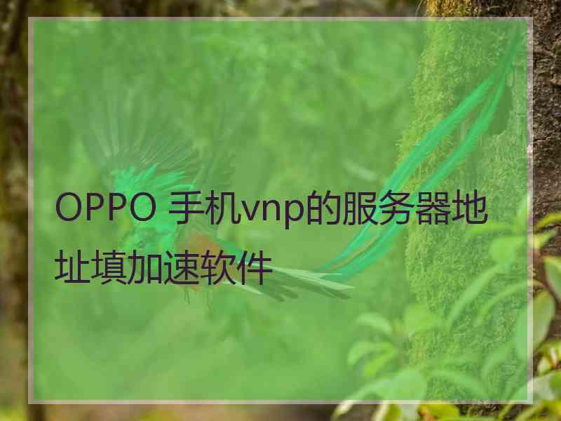 OPPO 手机vnp的服务器地址填加速软件