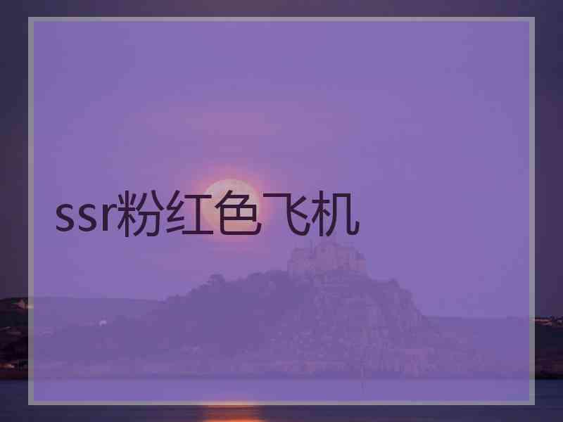 ssr粉红色飞机