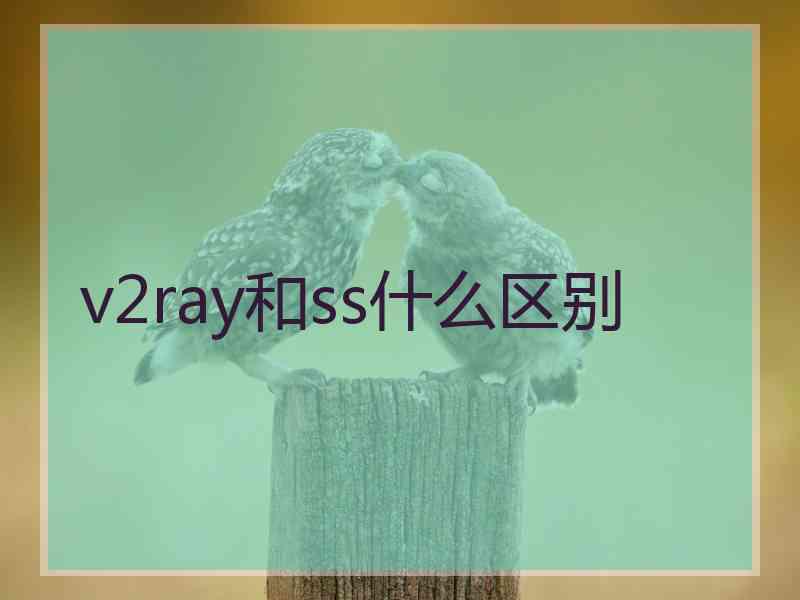v2ray和ss什么区别