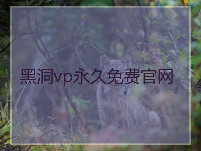 黑洞vp永久免费官网