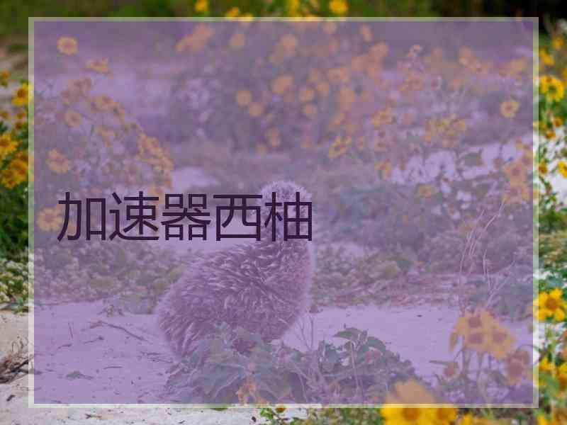 加速器西柚