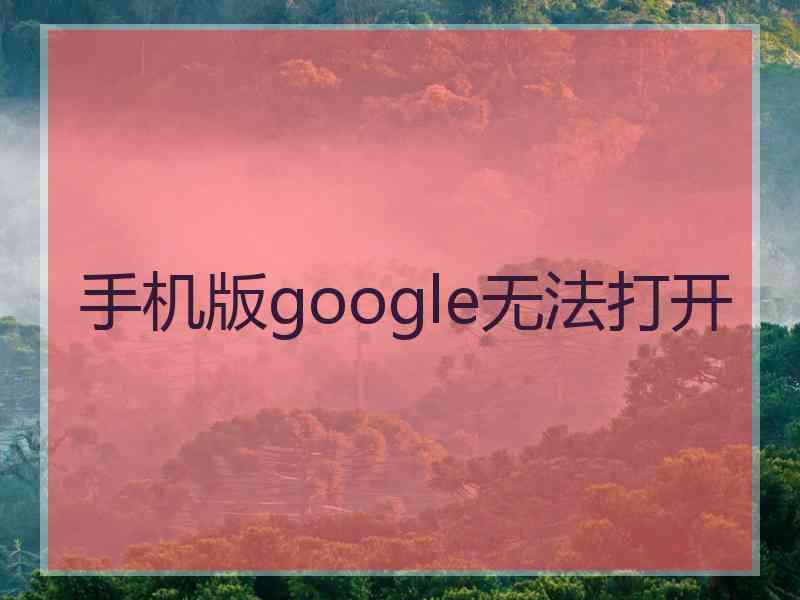 手机版google无法打开