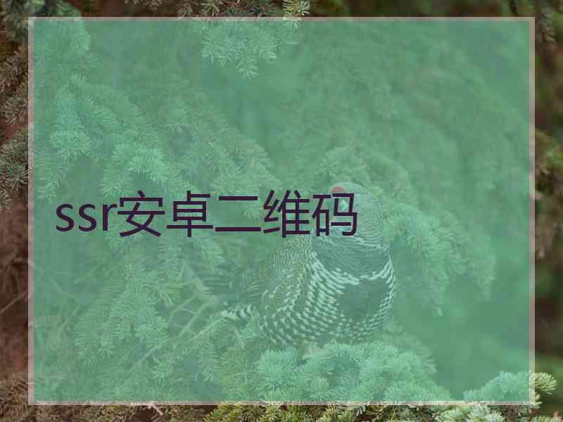 ssr安卓二维码