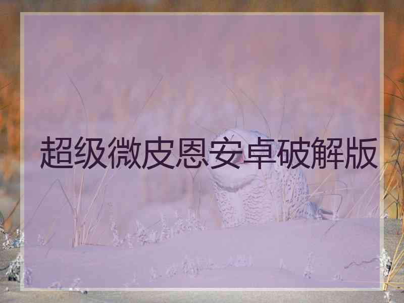 超级微皮恩安卓破解版