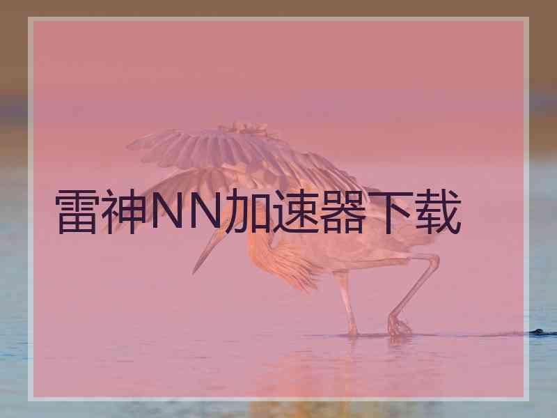 雷神NN加速器下载
