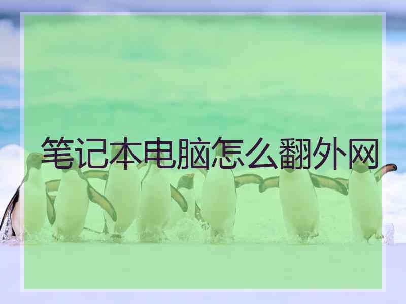 笔记本电脑怎么翻外网
