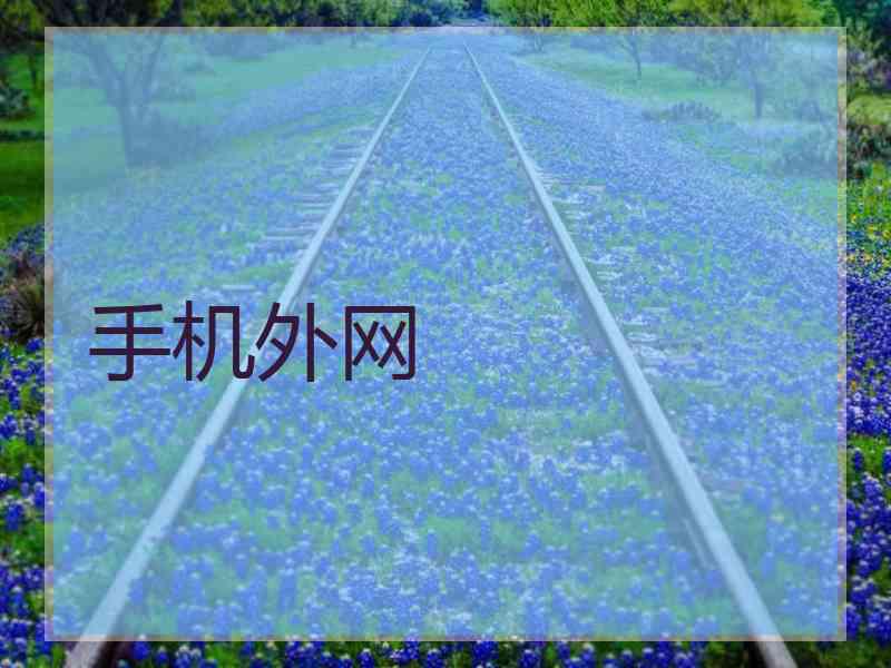 手机外网